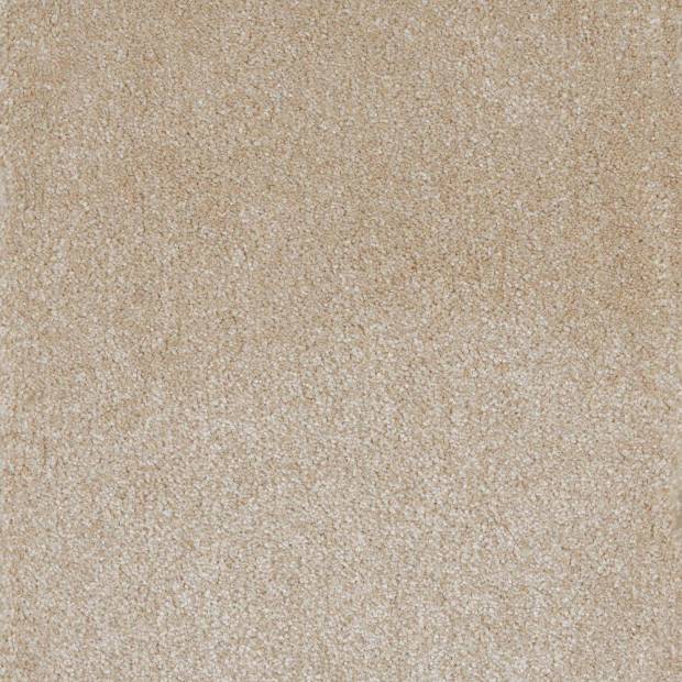 Moquette Monte Gordo