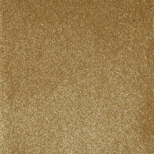 Moquette Monte Gordo