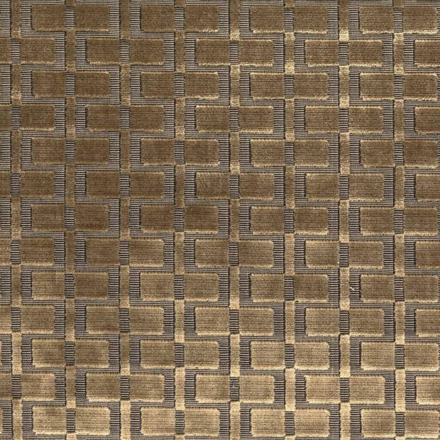 Tissu Analogie