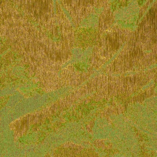 Tissu Rococo 1