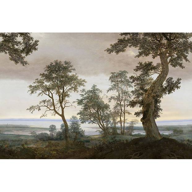 Papier peint Panoramique Vista