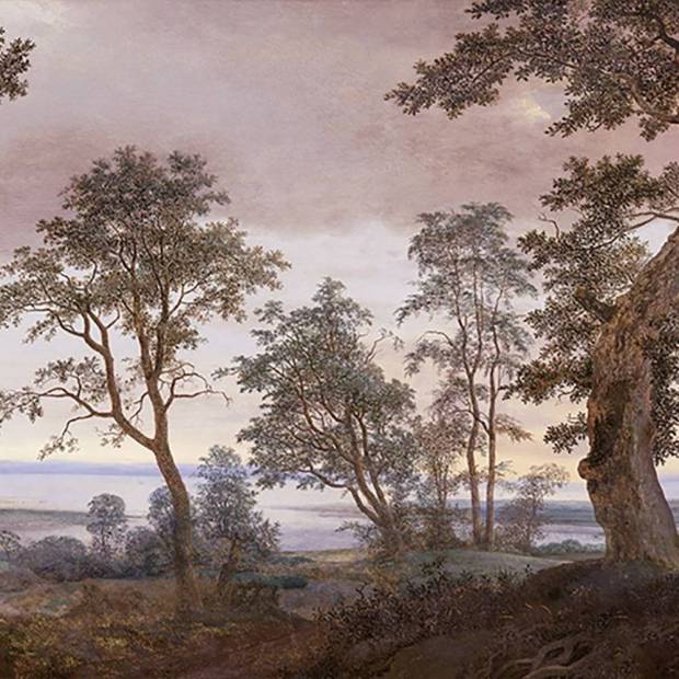 Papier peint Panoramique Vista