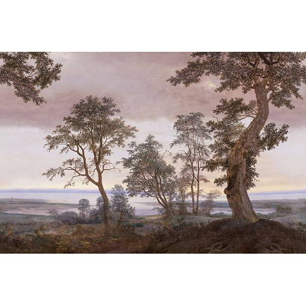 Papier peint Panoramique Vista