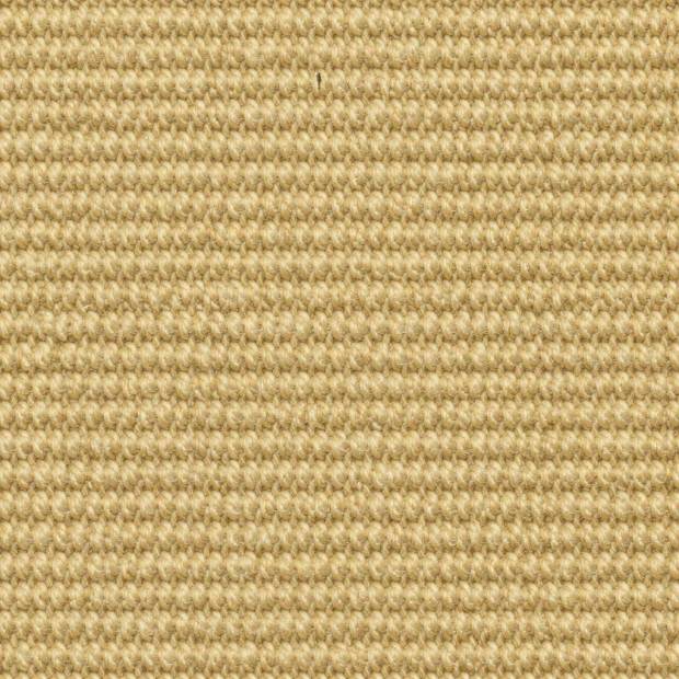 Moquette Tiaret