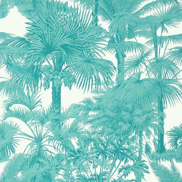 Papier peint Palm botanical