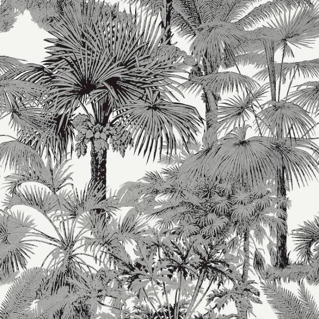 Papier peint Palm botanical