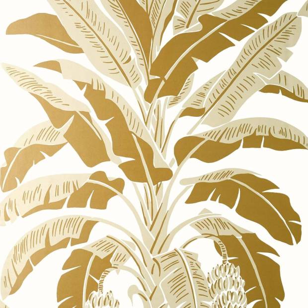 Papier peint Banana tree