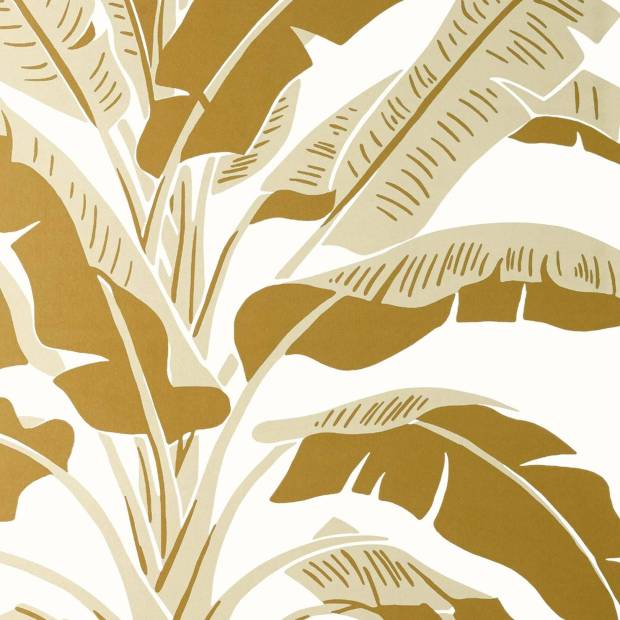 Papier peint Banana tree