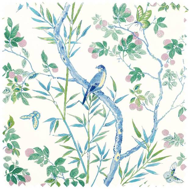 Tissu Claire