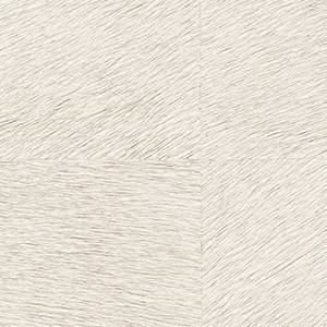 Papier peint Movida HPC