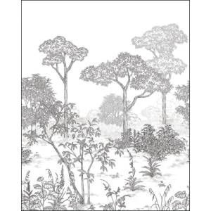 Papier Peint Panoramique Arboretum