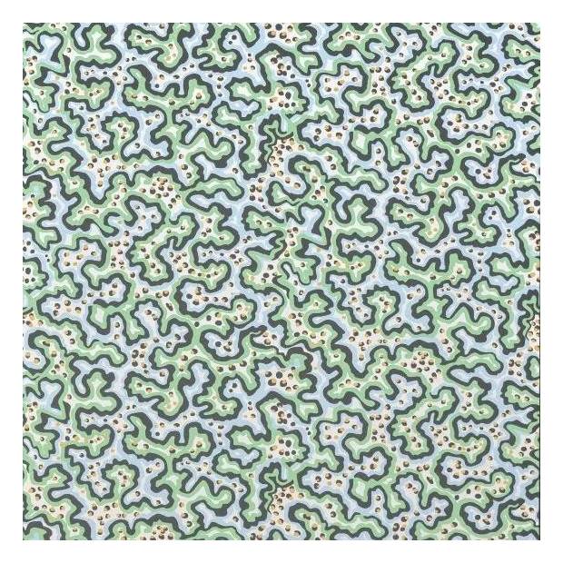 Papier peint Sinularia