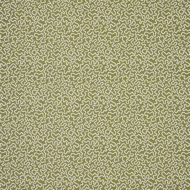 Tissu Corti