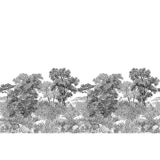 Papier peint Panoramique sur mesure Forêt de Bretagne