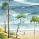 Panoramique Surf