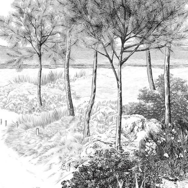 Papier peint Panoramique sur mesure Dune