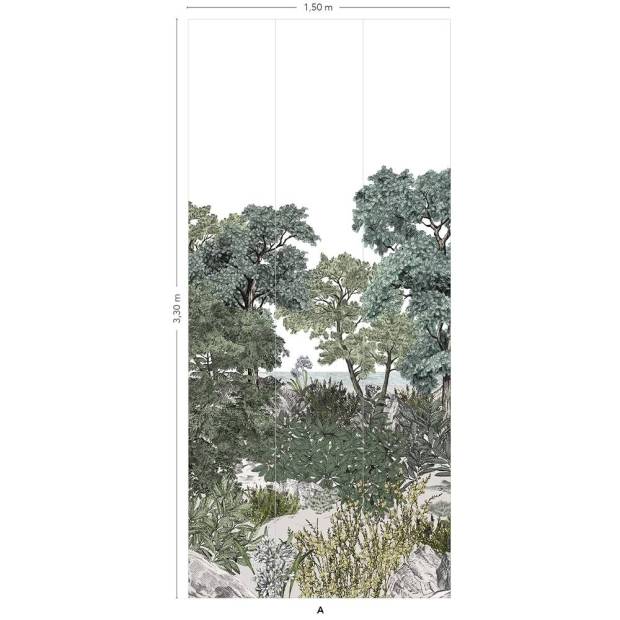 Panoramique Forêt de Bretagne