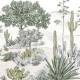 Papier peint panoramique Succulentes