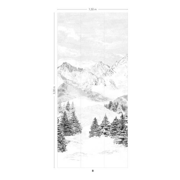 Papier peint Panoramique Les Cimes