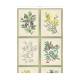 Papier peint Herbier