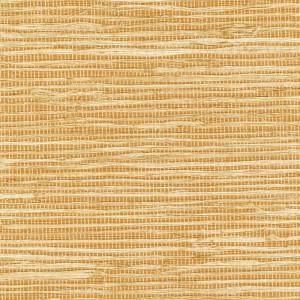 Papier Peint Arrowroot