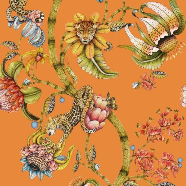 Papier peint Protea Panthera