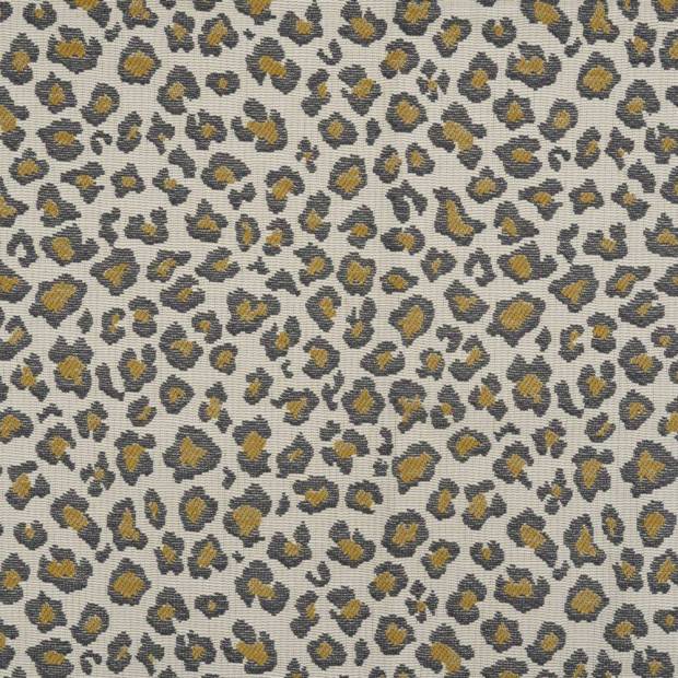 Tissu Rosette spots