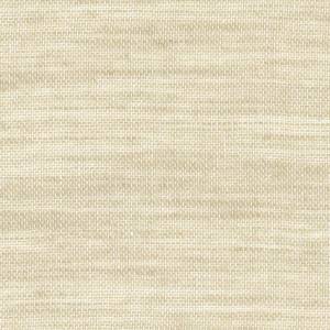 Tissu Paul