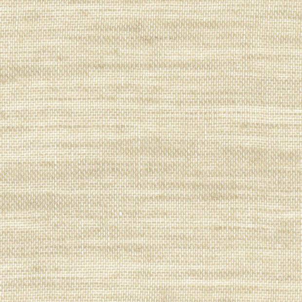 Tissu Paul