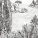 Papier peint panoramique sur-mesure Cyprès