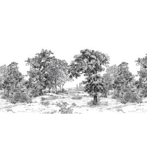 Papier peint Panoramique sur mesure Dominiale