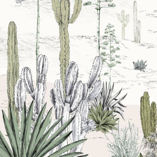 Papier peint panoramique sur mesure Succulentes