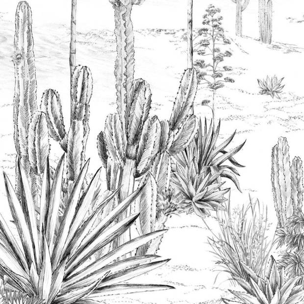 Papier peint panoramique sur mesure Succulentes