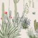 Papier peint panoramique Succulentes