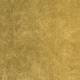 Tissu Atlas Novus