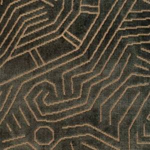 Tissu Darwinista