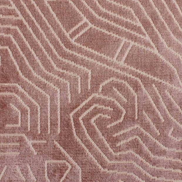 Tissu Darwinista