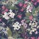 Papier Peint Songe De Jasmin