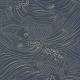 Papier Peint Plenty more fish