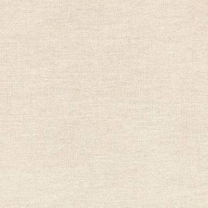 Tissu Foundation