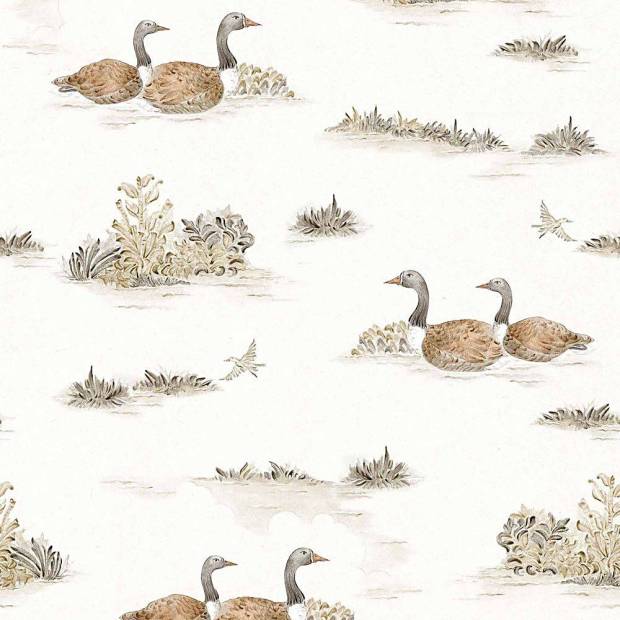 Papier peint Mallard duck intissé