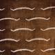Tissu Nouvelles Vagues