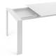 Table Four Extensible