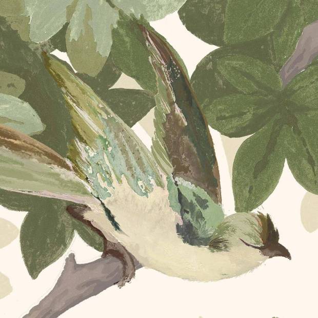 Papier Peint Panoramique Les Oiseaux