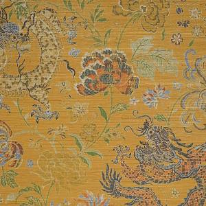 Papier peint Dragon graden