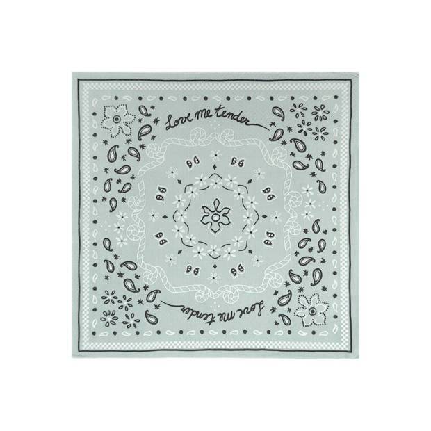 Lot de 20 serviette Bandana