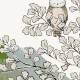 Papier Peint Panoramique Sur Mesure Coucou Hibou