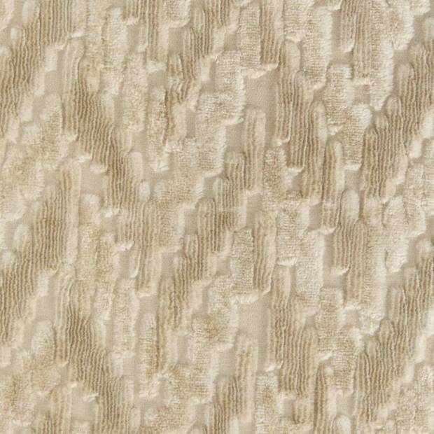 Tissu Fossile