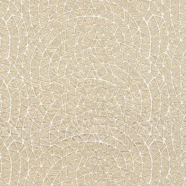 Tissu Paris Lumière
