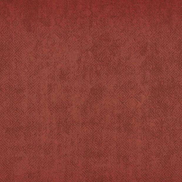Tissu Sessile